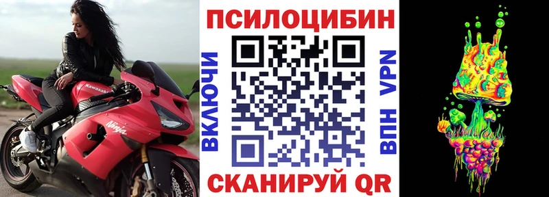 Псилоцибиновые грибы Psilocybe  Купить где  Карабулак 